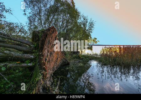 nach starkem wind Stockfoto