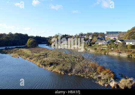 Insel im Fluss Don, Aberdeen, Schottland, flussaufwärts von der neuen Brücke Don im Donmouth Nature Reserve. Stockfoto