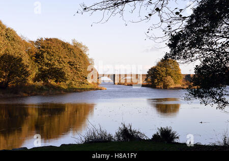 Die Donmouth Nature Reserve nach unten der Fluss Don, die neue Brücke Don, im Herbst, Aberdeen, Schottland Stockfoto