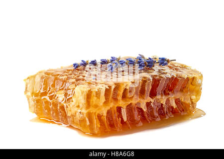 Waben mit Lavendel Zweige auf weiß Stockfoto