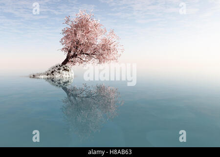 Ein einsamer Baum mit Spiegelbild im Wasser Stockfoto