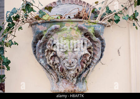 Satyr Woodland Gott Gesicht Skulptur Blume Pflanze Edera Schiff Stockfoto