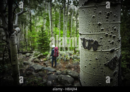 Frau durch den Wald wandern Stockfoto