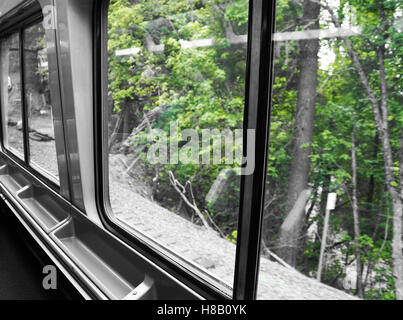 Grüne Bäume Blick vom Zugfenster mit schwarz / weiß Kontrast Stockfoto