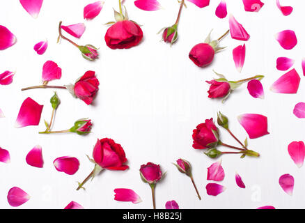 Rahmen aus Rosenblättern auf weißem Hintergrund. Muster aus roten Rosen. Grußkarte der Blume. Flach legen, obenliegende Ansicht Stockfoto