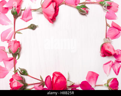 Rahmen aus rosa Blüten auf weißem Hintergrund. Muster aus roten Rosen. Grußkarte der Blume. Soft-Fokus. Flach legen, Top Aussicht Stockfoto