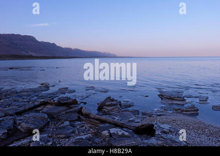 Blick auf das Ufer des Toten Meeres ein Salzsee von Jordanien im Osten und Israel und Palästina im Westen begrenzt. Seine Oberfläche und Küsten sind 429 m (1.407 ft) unter dem Meeresspiegel tiefste Punkt der Erde auf dem Land. Stockfoto