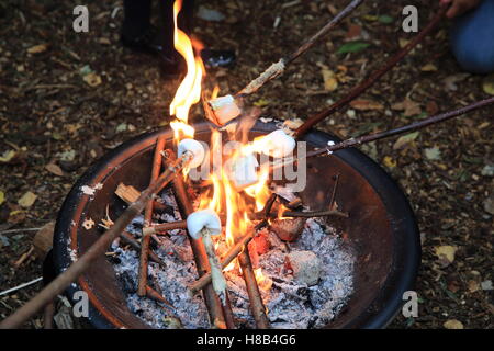 Toasten Marshmallows auf Guy Fawkes oder Bonfire Night am 5. November in London, England, UK Stockfoto