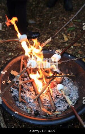 Toasten Marshmallows auf Guy Fawkes oder Bonfire Night am 5. November in London, England, UK Stockfoto