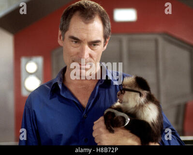 Looney Tunes - Back in Action (LOONEY TUNES: BACK IN ACTION) USA 2003, Regie: Joe Dante, TIMOTHY DALTON, Key: Affe Stockfoto