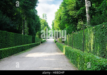 Schöne Allee im Park und im Himmel Stockfoto