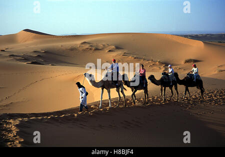 Kamelritt in der Wüste, Merzouga-Dünen, Marokko. Schlüssel: Landschaft, Himmel, Wüste, Sand, Kamel, Wandergitarre, Karawane, Düne. Stockfoto
