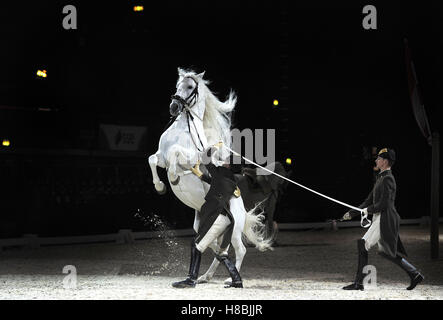 Pferde und Reiter führen in ein Foto-Shooting vor der spanischen Riding School Wien 450. Jahrestag UK die beginnt am Freitag am SEE Arena, Wembley, London. Stockfoto