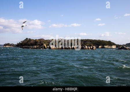 Matsushima Bay verfügt über 260 winzige Inseln und gilt als einer der drei großen Sehenswürdigkeiten Japans - Nihon Sankei. Stockfoto