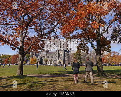 Eichen in Herbstfarben auf Campus der University of Toronto Stockfoto