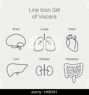 Vektor-Linie menschlichen Innenorgane Satz: Leber, Gehirn, Lunge, Herz, Niere, Darm Stock Vektor