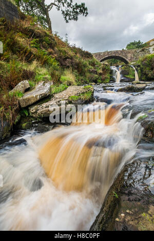 Drei Shires Brücke im Peak District, wo die Grafschaften Derbyshire, Staffordshire und Cheshire treffen Stockfoto