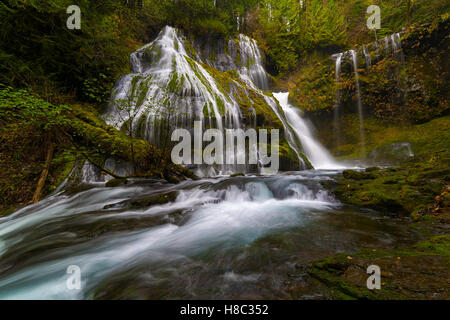 Panther Creek fällt im Gifford Pinchot National Forest Trail #137 im US-Bundesstaat Washington Stockfoto