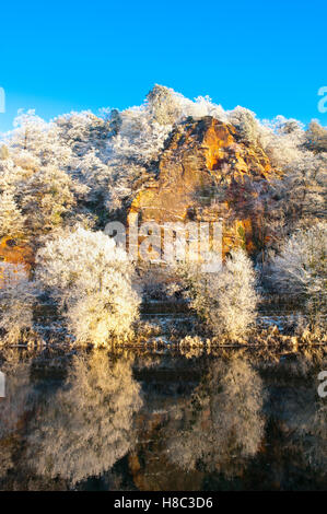 Winter-Raureif bedeckt Bäume auf hohen Felsen neben den Fluss Severn bei Bridgnorth, Shropshire, England, UK Stockfoto