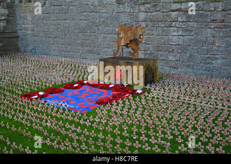 Mohn Kreuze auf dem Display als Teil des The Weeping Fensters in Caernarfon Castle zu 100 Jahre des ersten Weltkrieges erinnern. Stockfoto