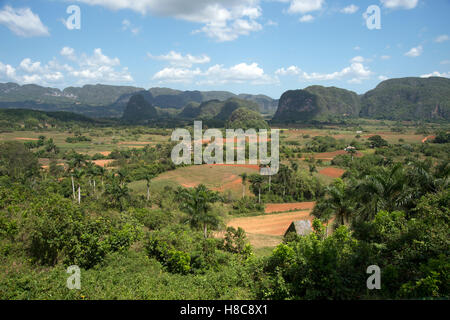 Einem strohgedeckten Tabak Trocknung Haus im Valle de Viñales auf Kuba mit Dschungel bedeckt Mogotes im Hintergrund Stockfoto