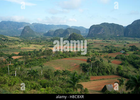 Einem strohgedeckten Tabak Trocknung Haus im Valle de Viñales auf Kuba mit Dschungel bedeckt Mogotes im Hintergrund Stockfoto