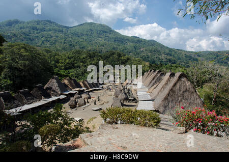 Traditionelles Dorf Bena, auf dem Lande Flores. Stockfoto