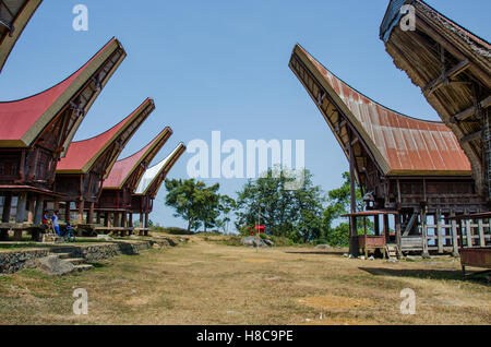 Traditionelle Häuser, Tongkonans, In Tanah Torajah. Stockfoto