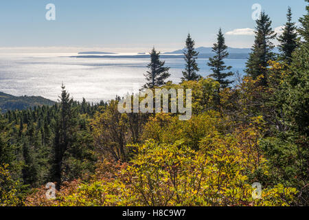 Blick vom Mont-Saint-Alban Aussichtspunkt im Forillon Nationalpark, Gaspe Halbinsel, Quebec, Kanada. Percé Felsen in der Ferne. Stockfoto