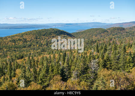 Blick vom Mont-Saint-Alban Aussichtspunkt im Forillon Nationalpark, Gaspe Halbinsel, Quebec, Kanada. Stockfoto