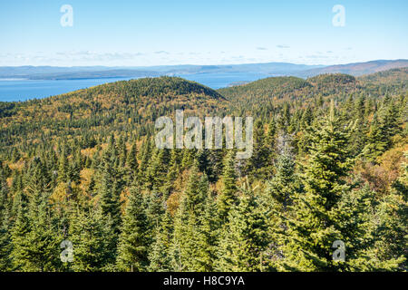 Blick vom Mont-Saint-Alban Aussichtspunkt im Forillon Nationalpark, Gaspe Halbinsel, Quebec, Kanada. Stockfoto