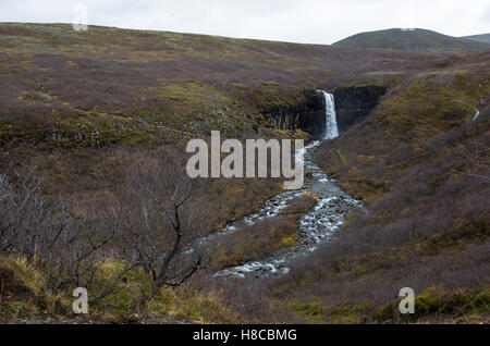 Svartifoss Wasserfall im Skaftafell-Nationalpark in Sourtheastern Island Stockfoto