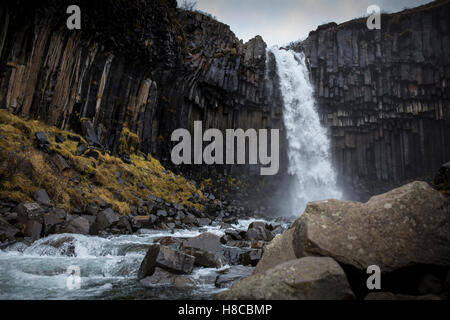 Svartifoss Wasserfall im Skaftafell-Nationalpark in Sourtheastern Island Stockfoto