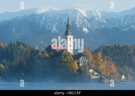 St. Marys Church Mariä Himmelfahrt, auf Insel im See von Bled, Slowenien Stockfoto