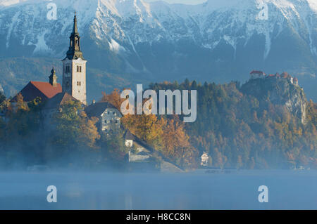 St. Marys Church Mariä Himmelfahrt, auf Insel im See von Bled, Slowenien Stockfoto