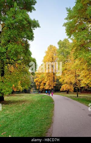 Herbstfarben im Windsor Great park Berkshire UK Stockfoto