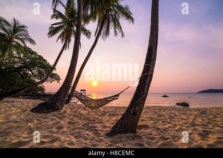 Tropisches Paradies - Hängematte zwischen Palmen am Meer auf einer tropischen Insel Stockfoto