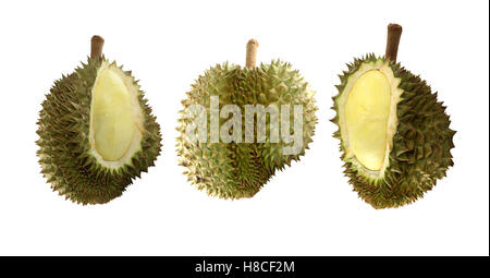 Durian Frucht isoliert auf weißem Hintergrund und Beschneidungspfade haben. Stockfoto