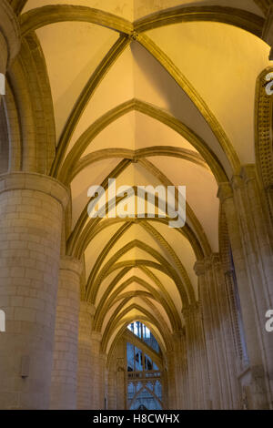 schöne Kathedrale von Gloucester Stockfoto