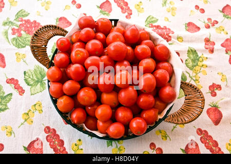 Tomaten "Pachino" in einen Korb, kleine Kirsche rote Tomaten aus dem Süden von Italien, Italien, Europa Stockfoto