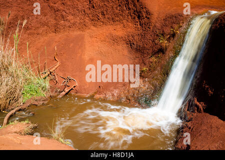 Ein kleiner Wasserfall Graben durch rote Erde in der Waimea Canyon auf Kauai, Hawaii, USA. Stockfoto