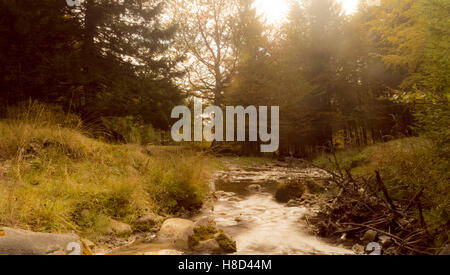 kleiner Bach im Herbstwald mit blauen Himmel und Wolken Stockfoto