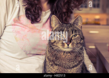 Katze sitzt auf einer Frau runden Katze Frau in weißem Hemd mit Herzform darauf kuscheln eine Katze in die Kamera schaut Stockfoto