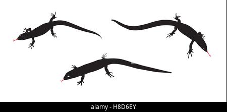 Satz von Schwarz und weiß Silhouette Eidechse. Vektor-Illustration Stock Vektor
