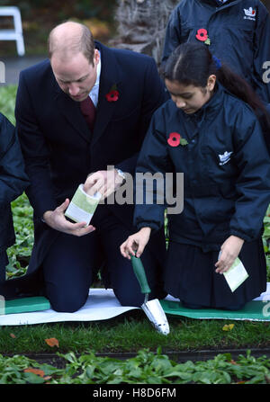 Der Duke of Cambridge hilft Kindern Pflanzensamen während eines Besuchs zu Kensington Memorial Park, London, wo er offiziell die Widmung des Parks zu Programms Centenary Felder markieren wird. Stockfoto