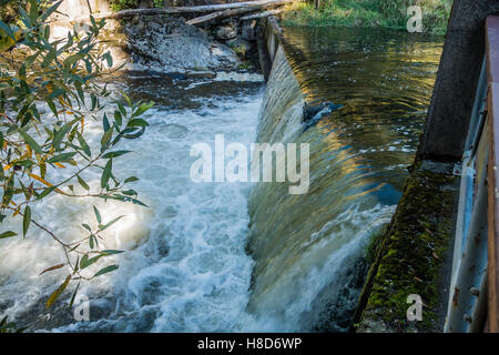 Fließendes Wasser bei Tumwater Wasserfällen schafft einen glänzende Vorhang. Stockfoto