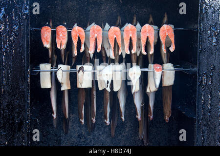 Scholle (Pleuronectes Platessa) und andere Seafish geräuchert in Fischräucherei Stockfoto