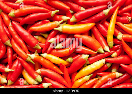 frische pikante rote Paprika als Hintergrund Stockfoto