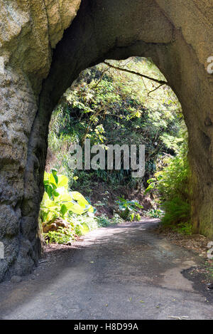 Tunnel in die Lava-Gestein geschnitten auf Green Mountain Ascension island Stockfoto