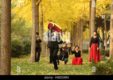 Zhengzhou, Zhengzhou, China. 10. November 2016. Zhengzhou, CHINA-10. November 2016: (nur zur redaktionellen Verwendung. CHINA HERAUS). Eine Frau tanzt unter Ginkgo-Bäume im Wenbo Park in Zhengzhou, Hauptstadt der Provinz Zentral-China Henan, 10. November 2016. Der Boden ist mit gelben Ginkgo-Blättern im Wenbo Park, zieht viele Besucher bedeckt. © SIPA Asien/ZUMA Draht/Alamy Live-Nachrichten Stockfoto